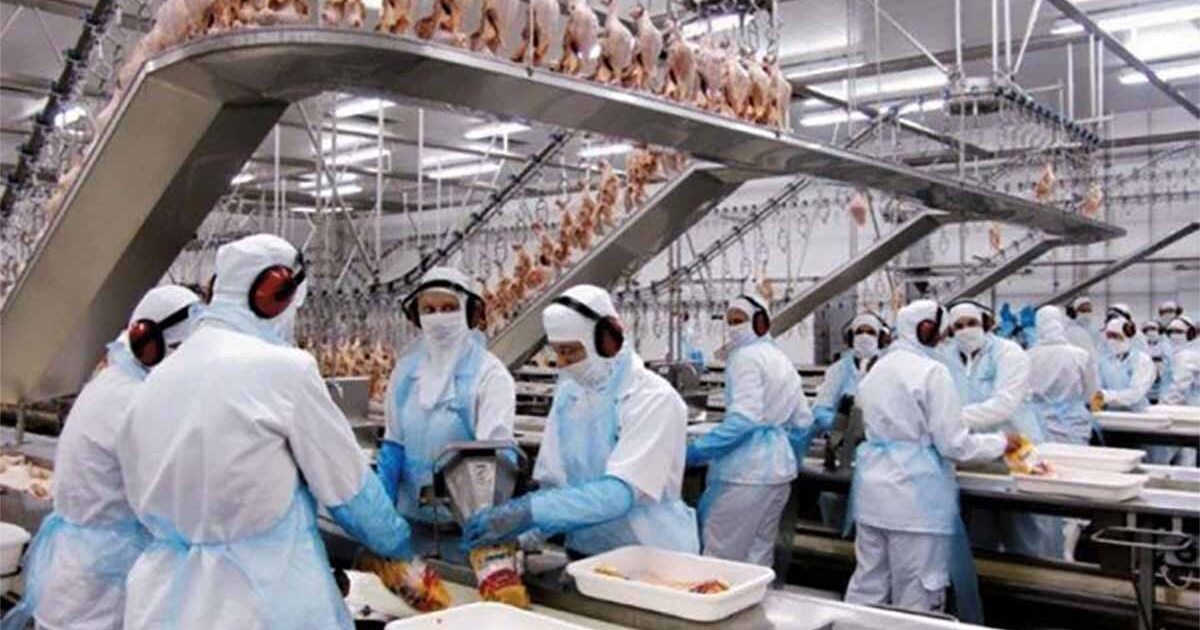 Agricultores pressionam Bayer em disputa sobre incentivos genéticos
