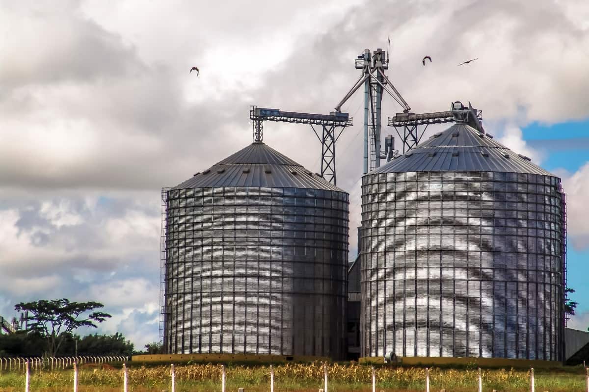 Armazenagem de grãos segue como desafio estratégico para produtores de Mato Grosso