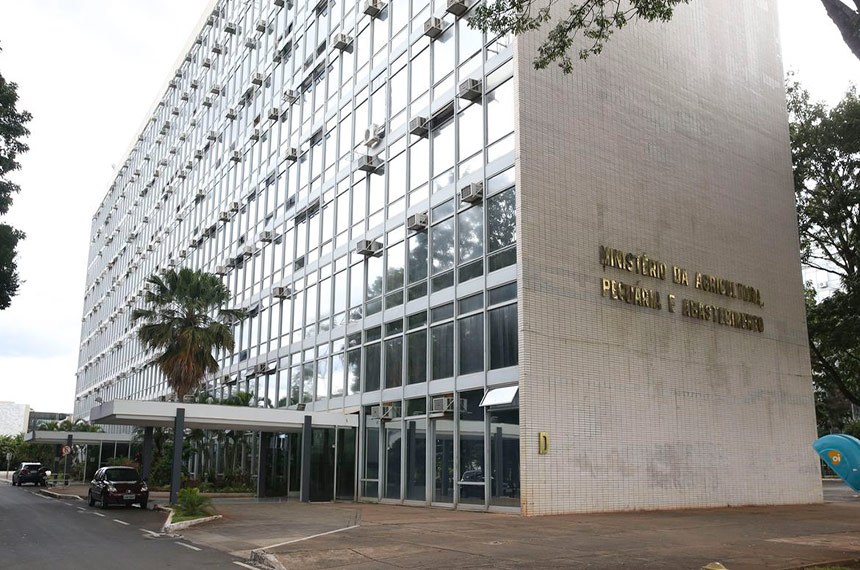 Mapa confirma novos mercados abertos para exportações do agro brasileiro