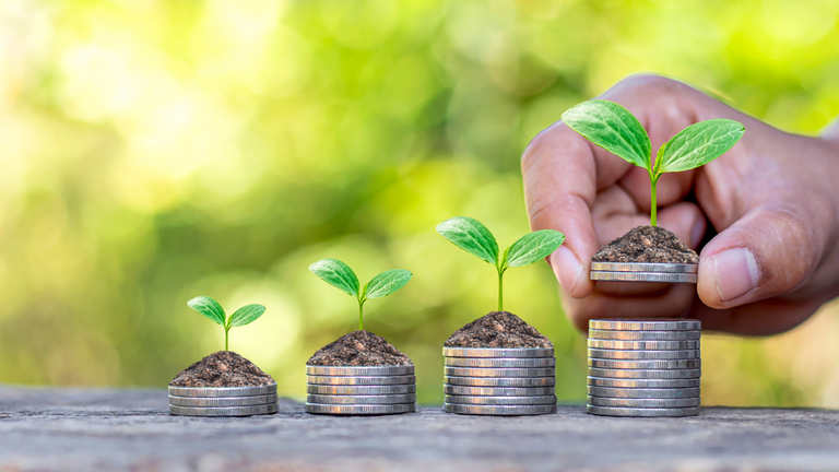 Crédito rural segue como principal apoio ao produtor no início do ano agrícola