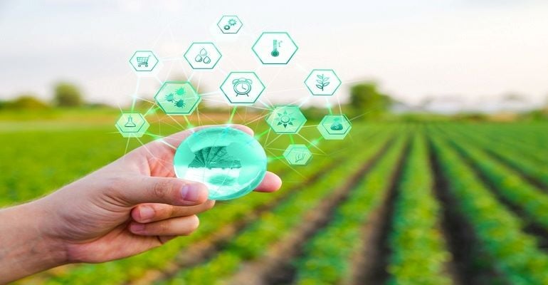 Inteligência Artificial revoluciona o controlo de pragas e reduz custos nas grandes lavouras