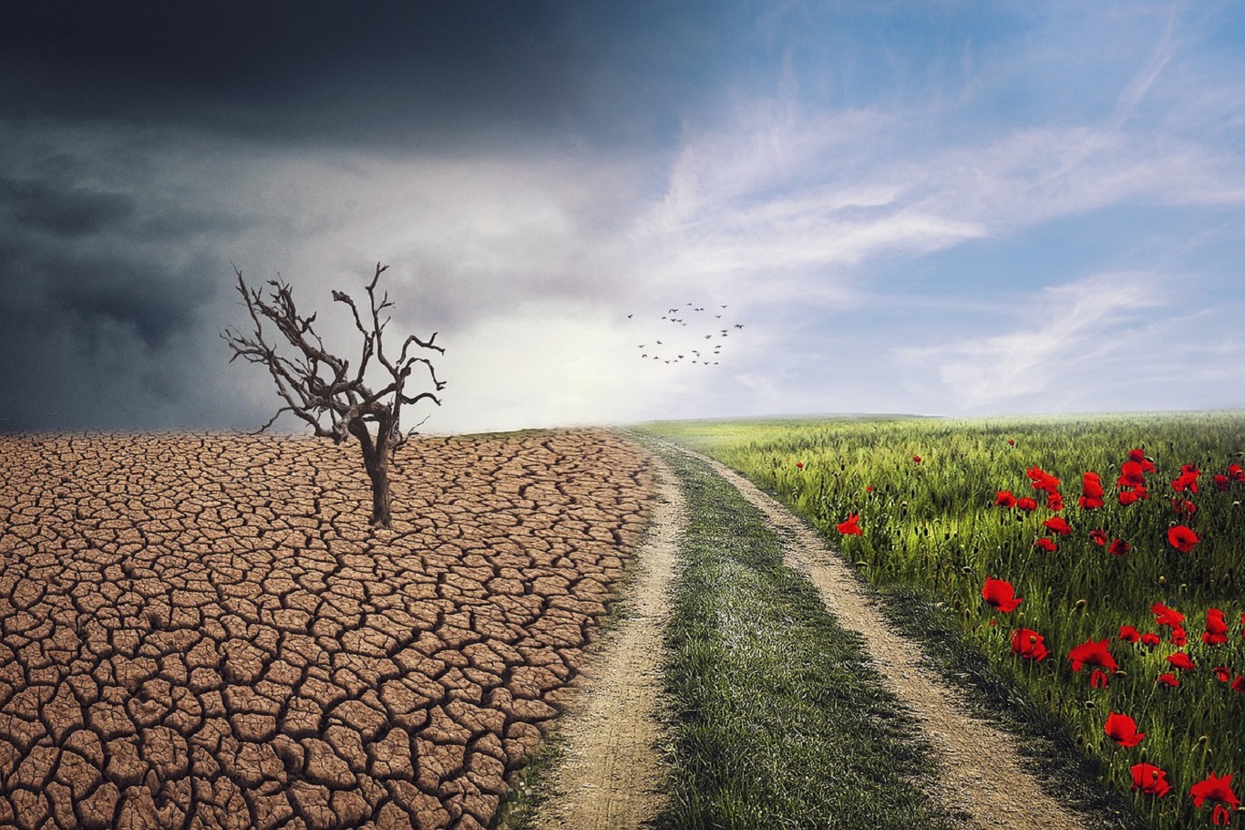 Mudanças climáticas impulsionam a procura recorde por seguros rurais mais abrangentes